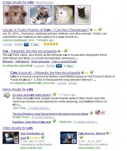 Universal Search Results for Cats