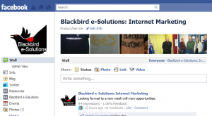 Blackbird e-Solutions Fan Page
