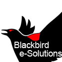 blackbird e-solutions square logo for @bbes
