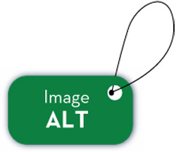 alt tags used to identify images on a website