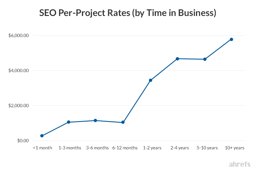 SEO project rates by time in business