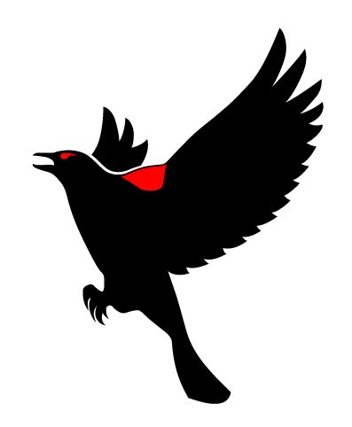 Blackbird e-Solutions Logo