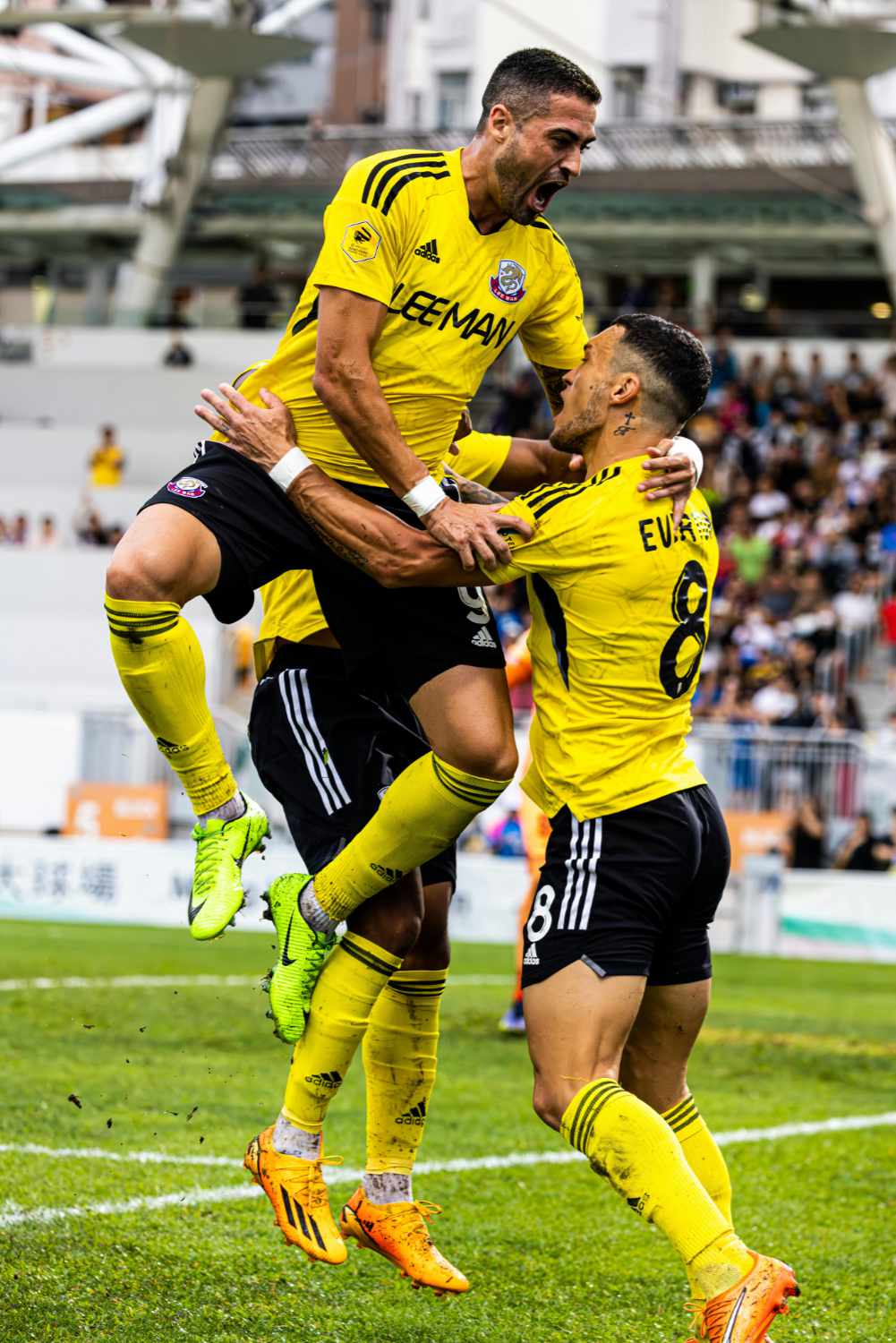 soccer players celebrating a goal