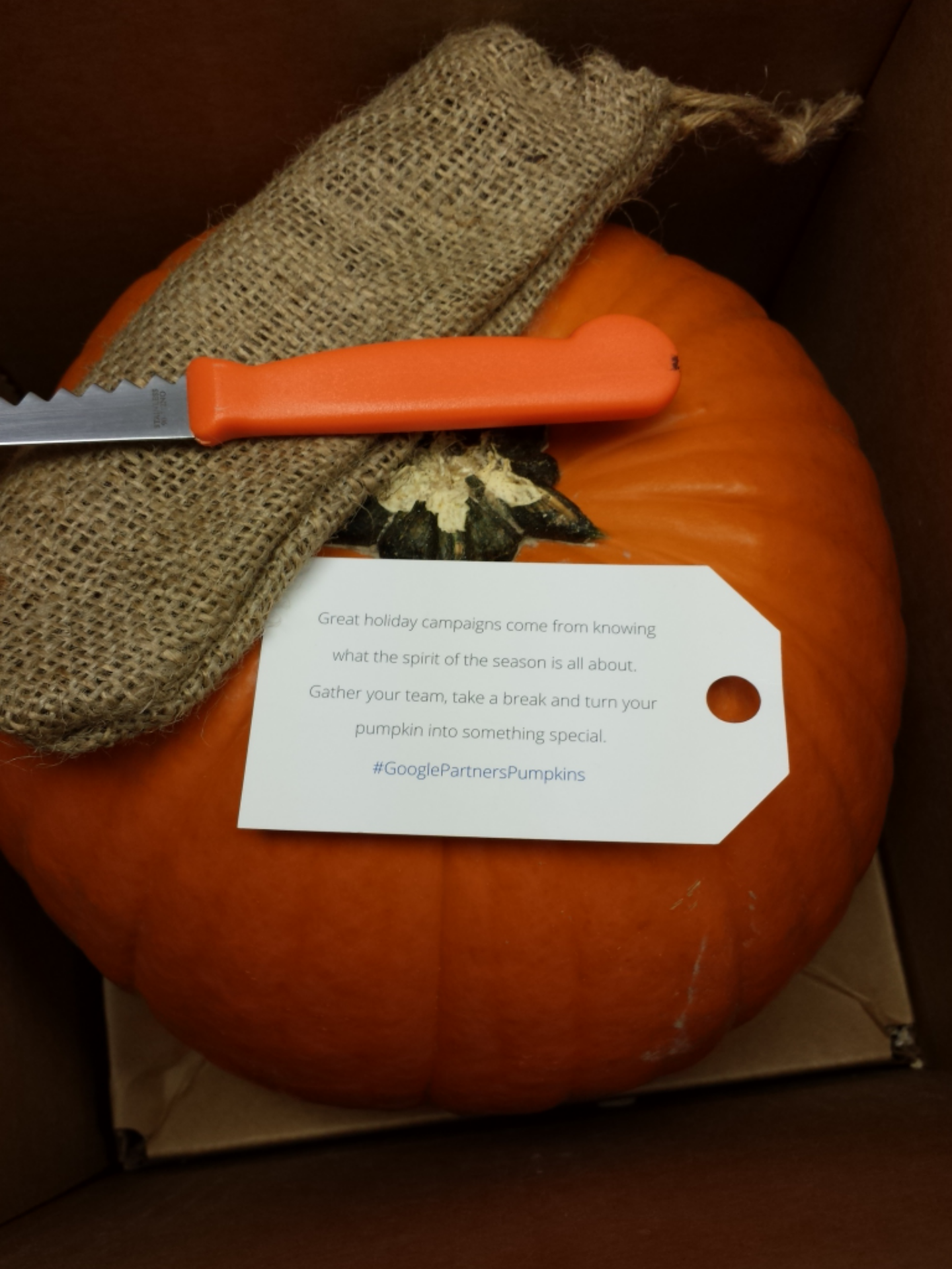 #GooglePartnersPumpkins
