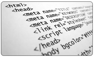 meta tag example