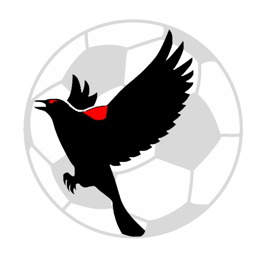 Blackbird e-Solutions LLC Soccer Marketing Logo