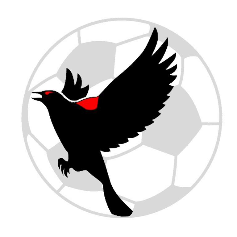Blackbird e-Solutions LLC Soccer Marketing Logo