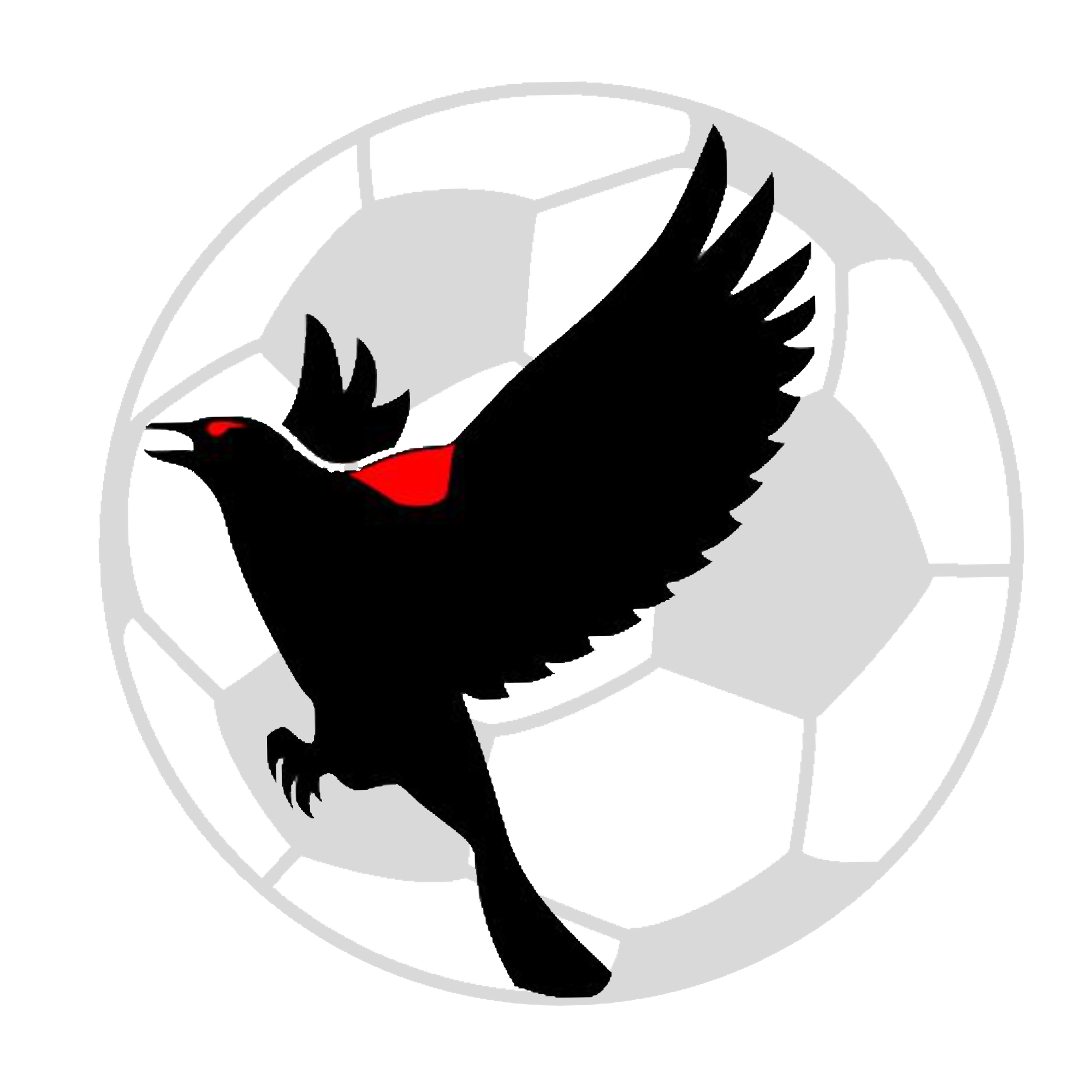 Blackbird e-Solutions LLC Soccer Marketing Logo