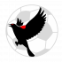 Blackbird e-Solutions LLC Soccer Marketing Logo